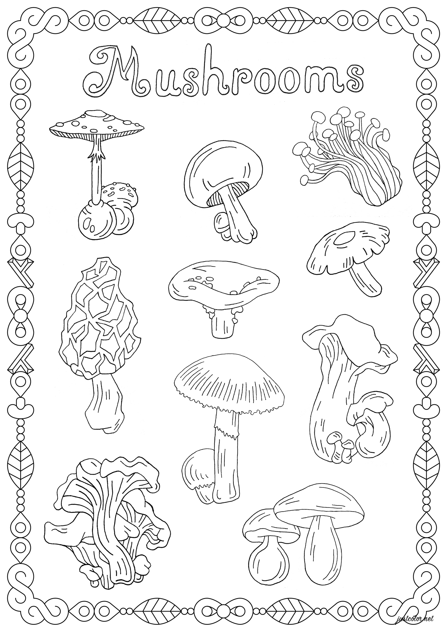 Color these different mushroom varieties, the beautiful frame around them, and the word 'Mushrooms', Artist : Lucie