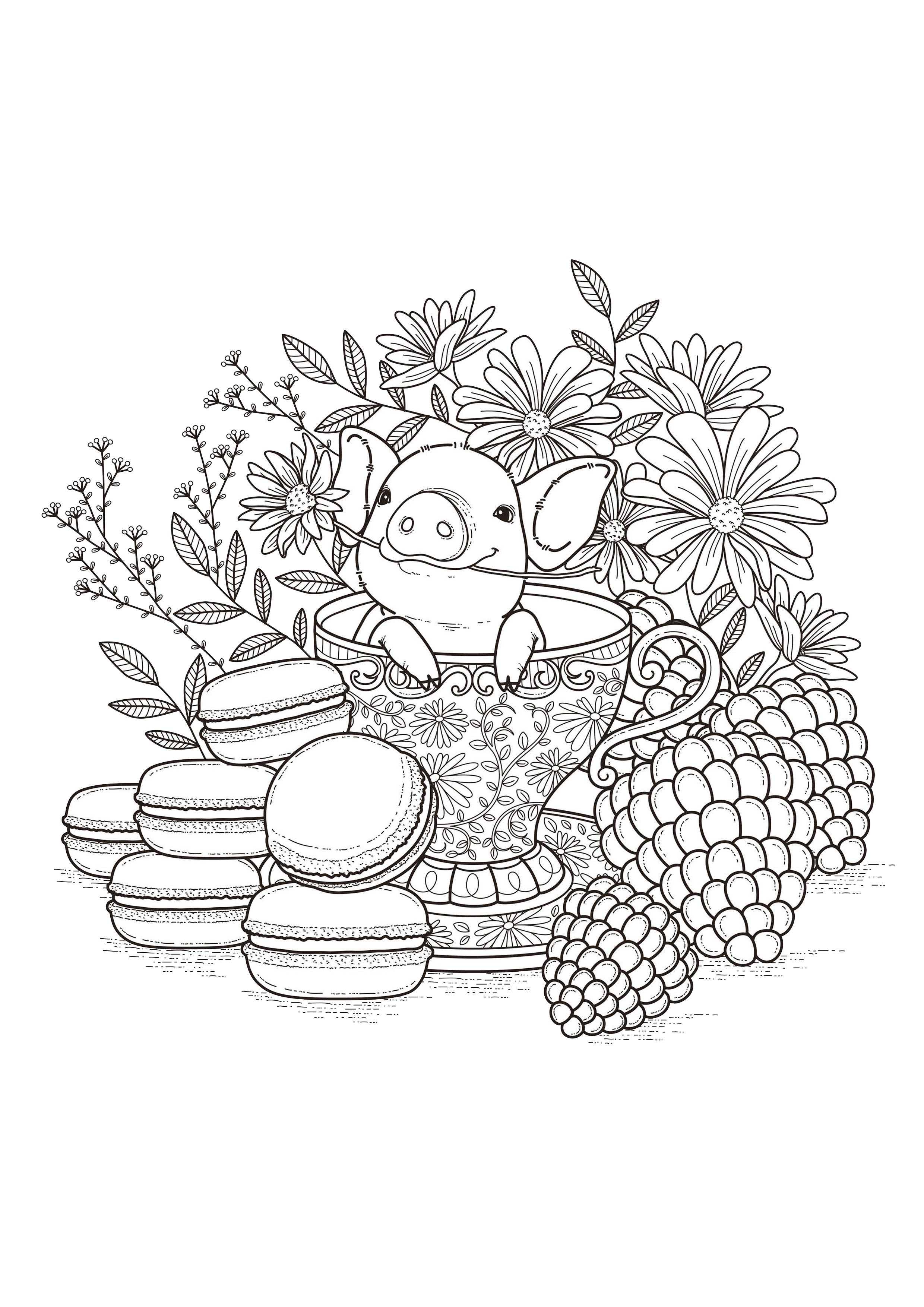  Fruits  macaroons Flowers Adult  Coloring  Pages  Page  2