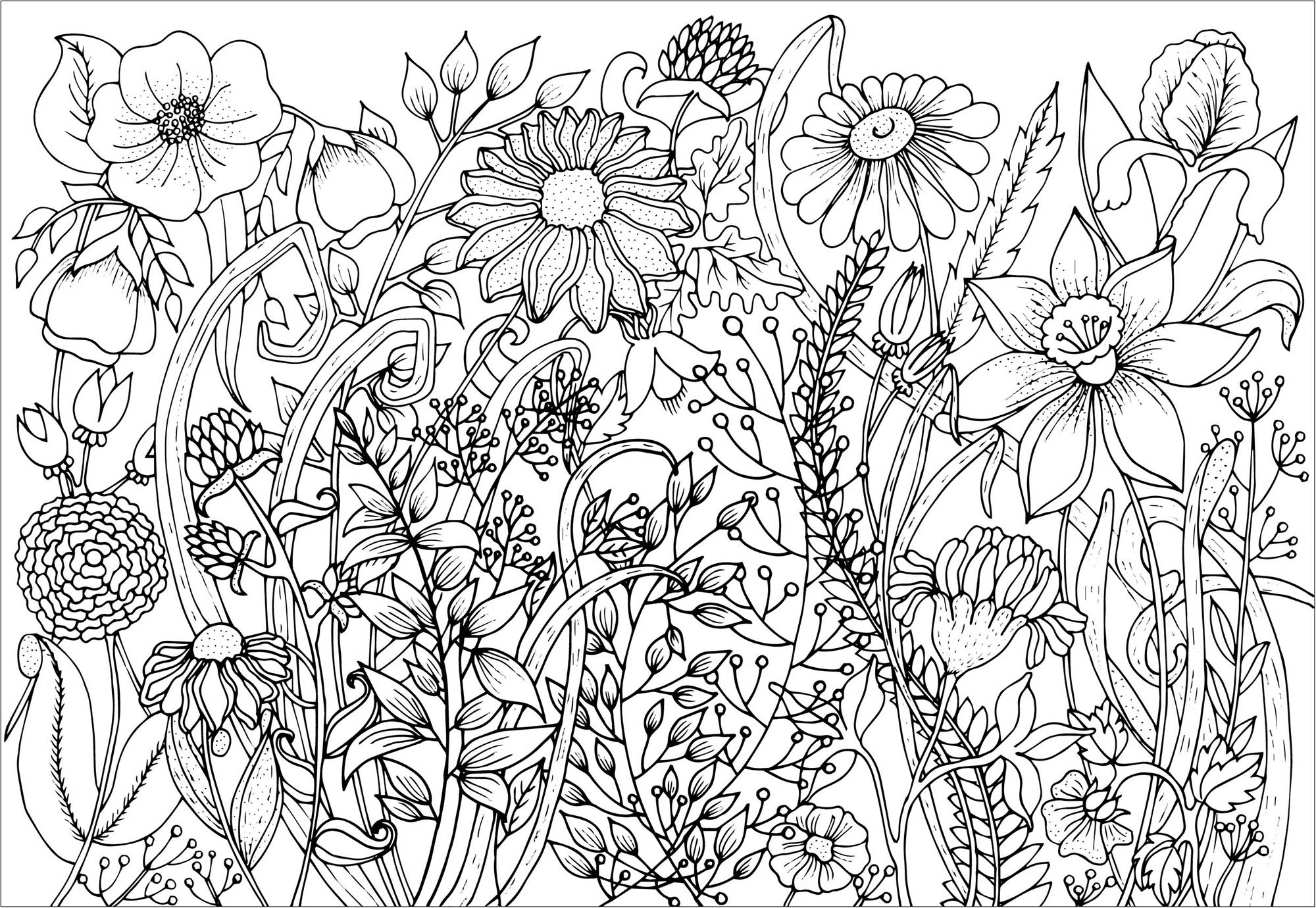 Cute spring flowers Flowers Adult Coloring Pages