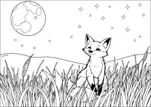 Printable Coloring Page for adults : Fox watching the moon