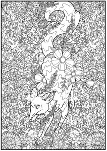 Coloring fox and wild flowers