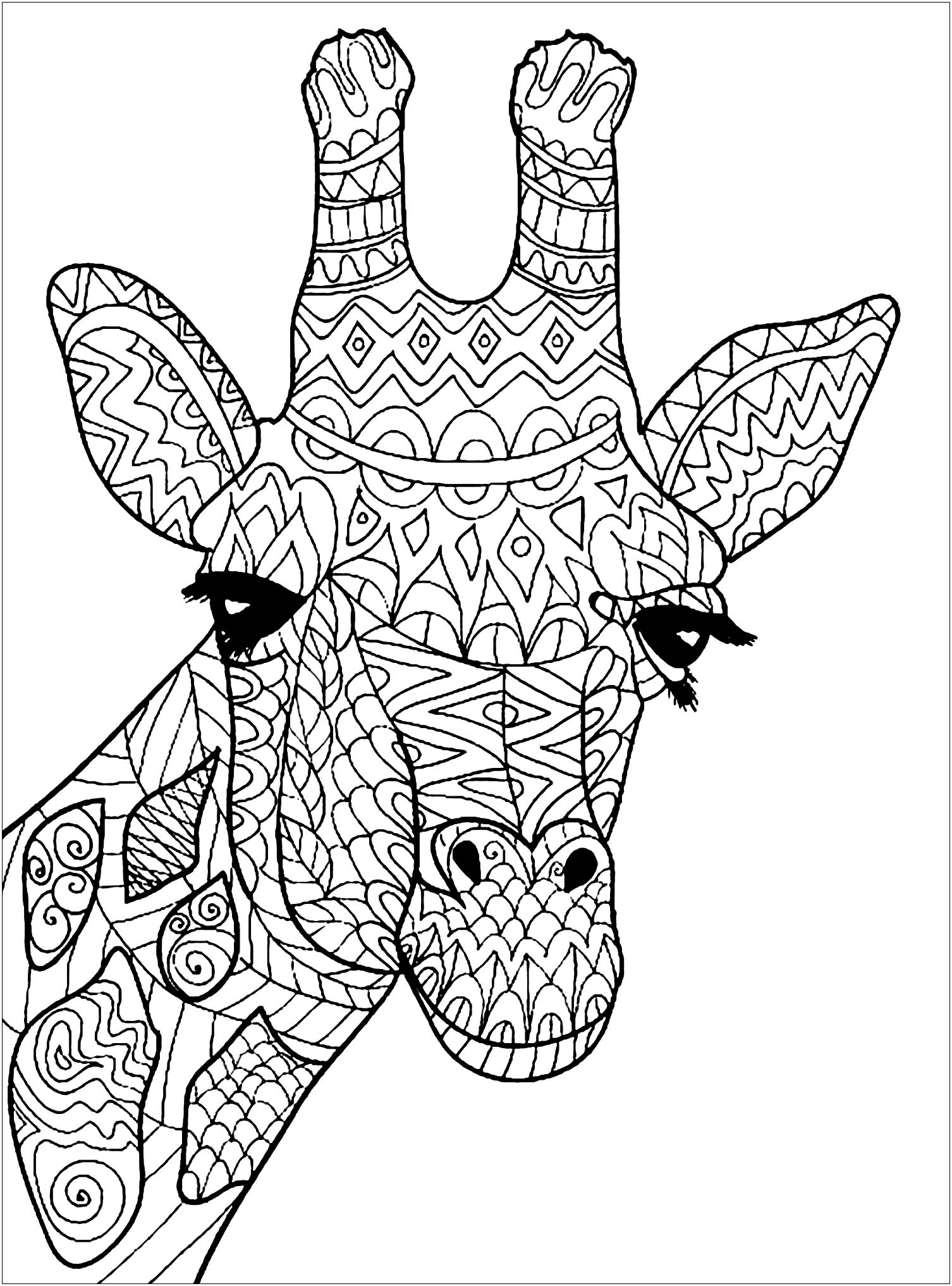 Download Giraffe head - Giraffes Adult Coloring Pages