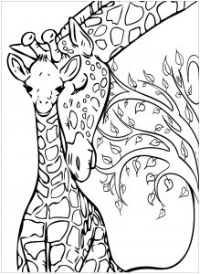 Coloring giraffe 1