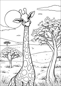 Funny giraffe in the Savannah