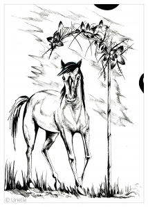 66 Coloring Pages For Adults Of Horses Download Free Images