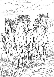 Horses 4029