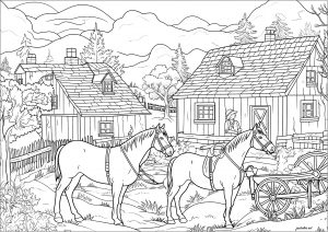 Coloring horses in a farm