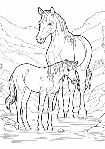 Large Print Beautiful Horses Coloring Book for Adult: Cute adult coloring  book for horse lovers, horse to color adult coloring, horse coloring book  fo (Paperback)