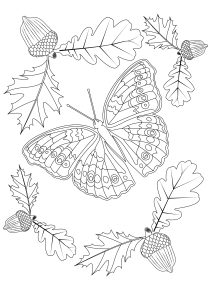 Printable Butterflies & Insects Coloring Page for adults : Autumn-butterfly