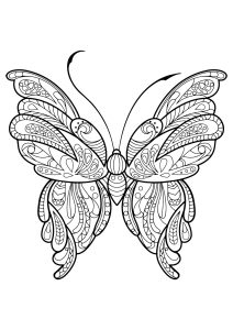 Printable Butterflies & Insects Coloring Page for adults : Butterfly-beautiful-patterns-16