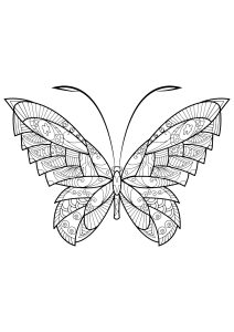 Printable Butterflies & Insects Coloring Page for adults : Butterfly-beautiful-patterns-17