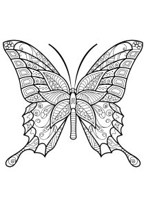 Printable Butterflies & Insects Coloring Page for adult : Butterfly-beautiful-patterns-6