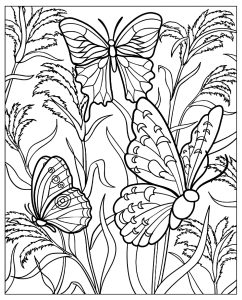 Printable Butterflies & Insects Coloring Page for adults : Butterflies in a green nature