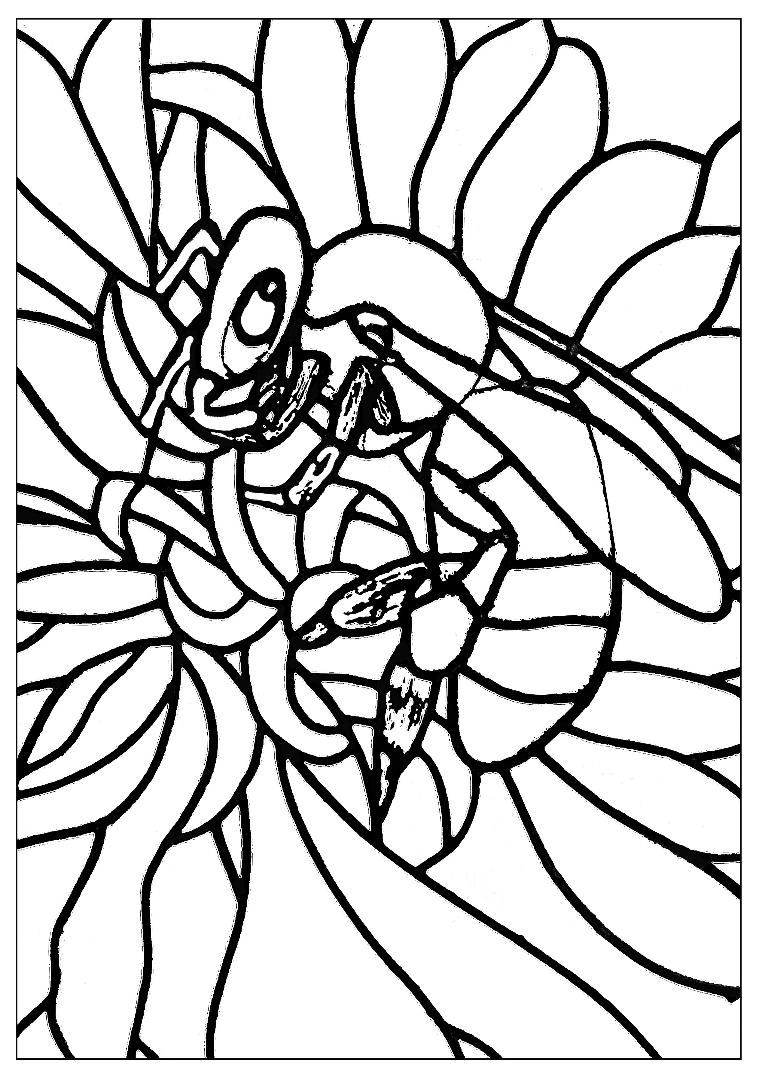 Cute bee to color, with areas with large borders