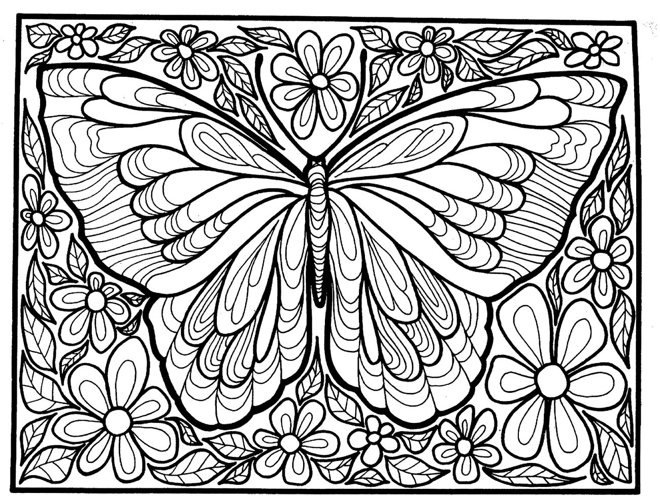Complex adult coloring page of a butterfly with many details