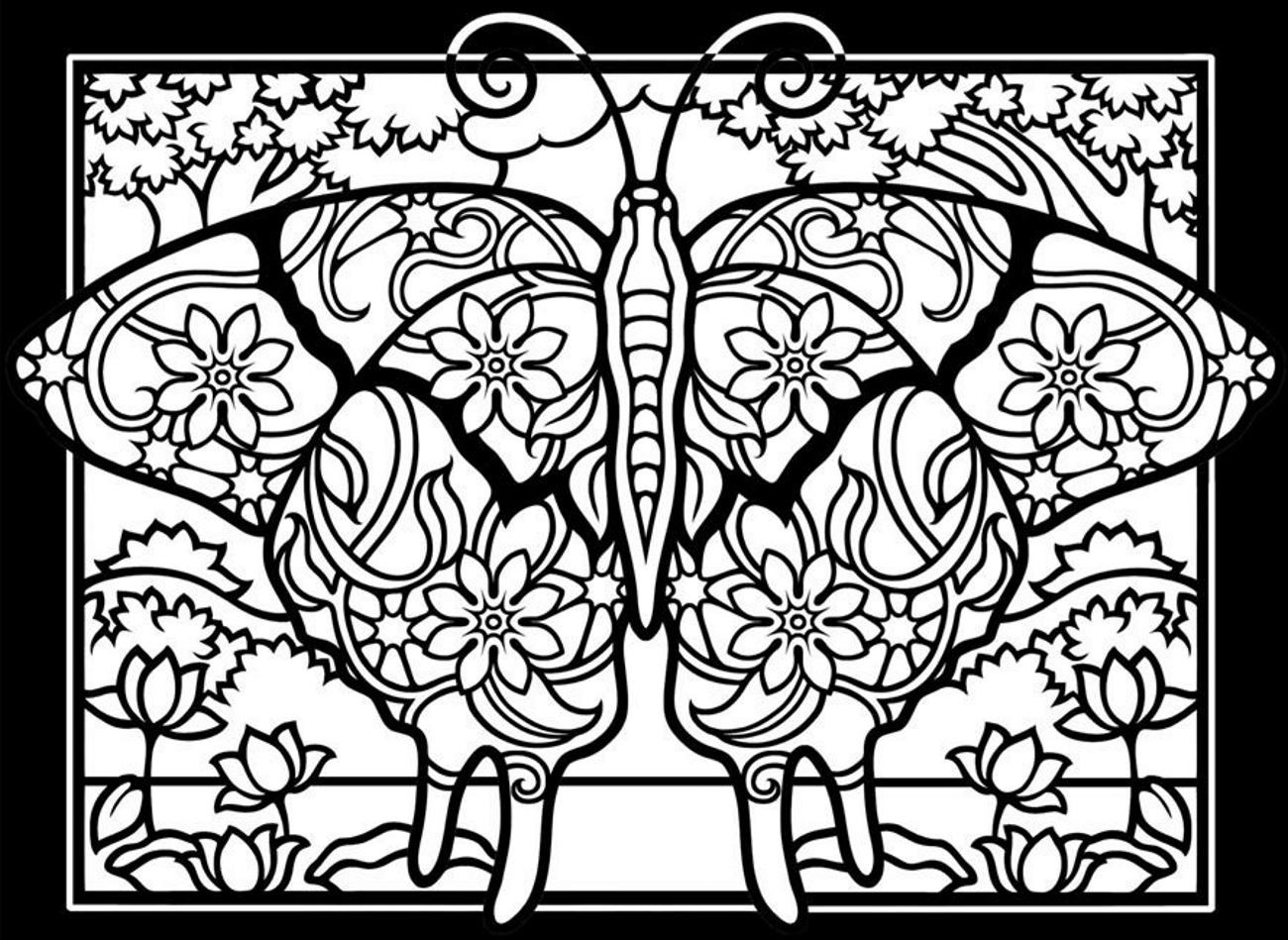 Coloring picture of a beautiful butterfly with black & thick border