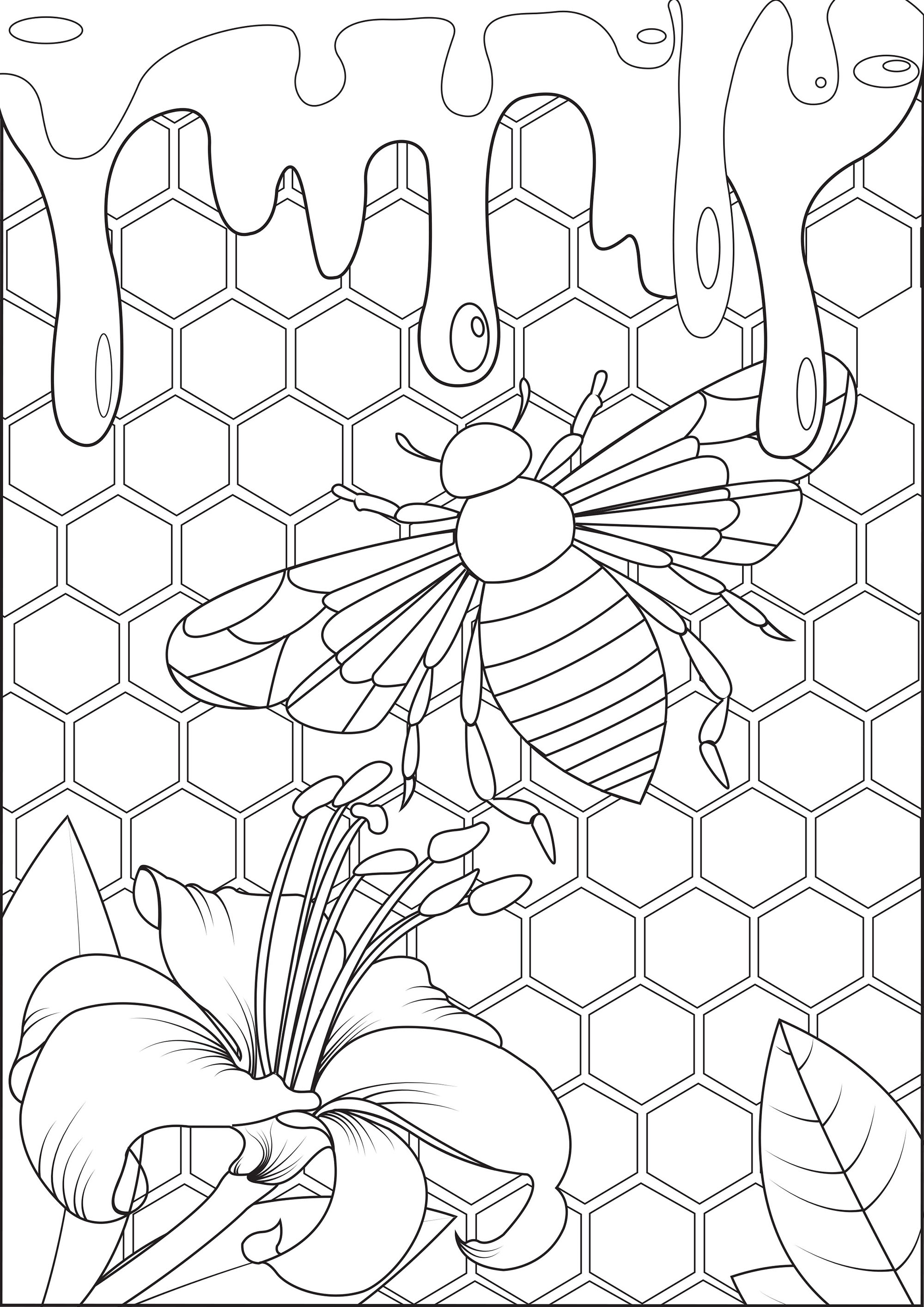 Bees and honey - Butterflies & insects Adult Coloring Pages