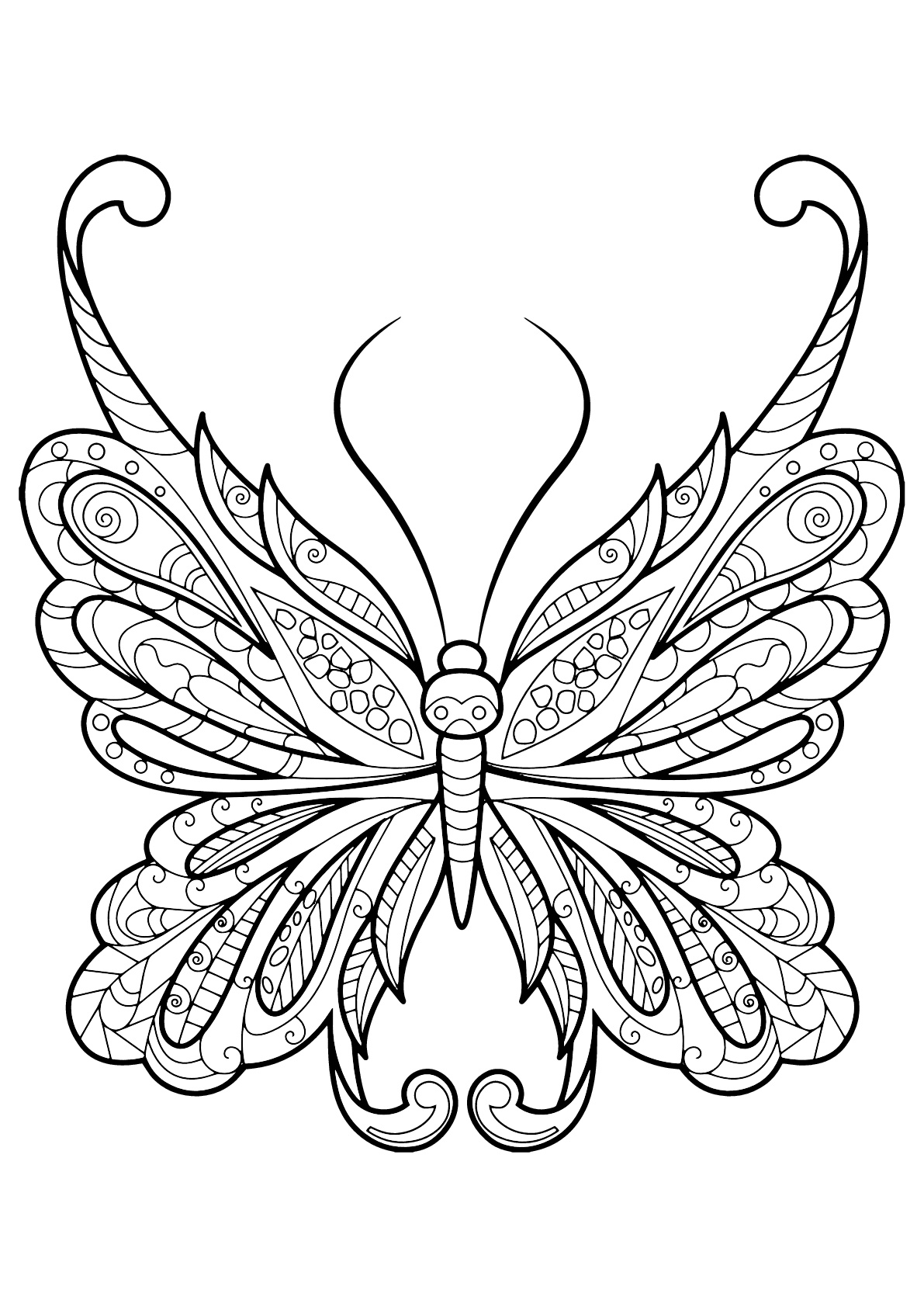 Incredible butterfly with simple motifs