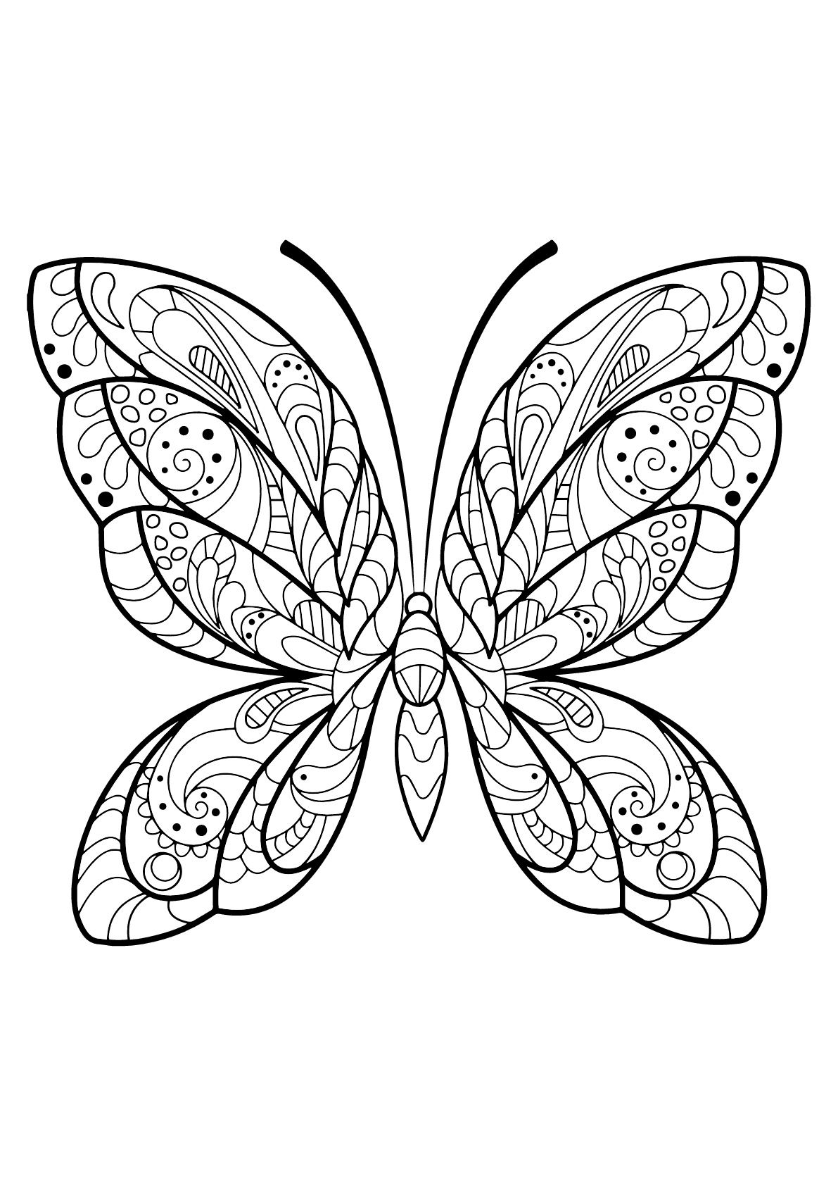 Butterfly beautiful patterns 2 - Butterflies &amp; insects Adult Coloring Pages