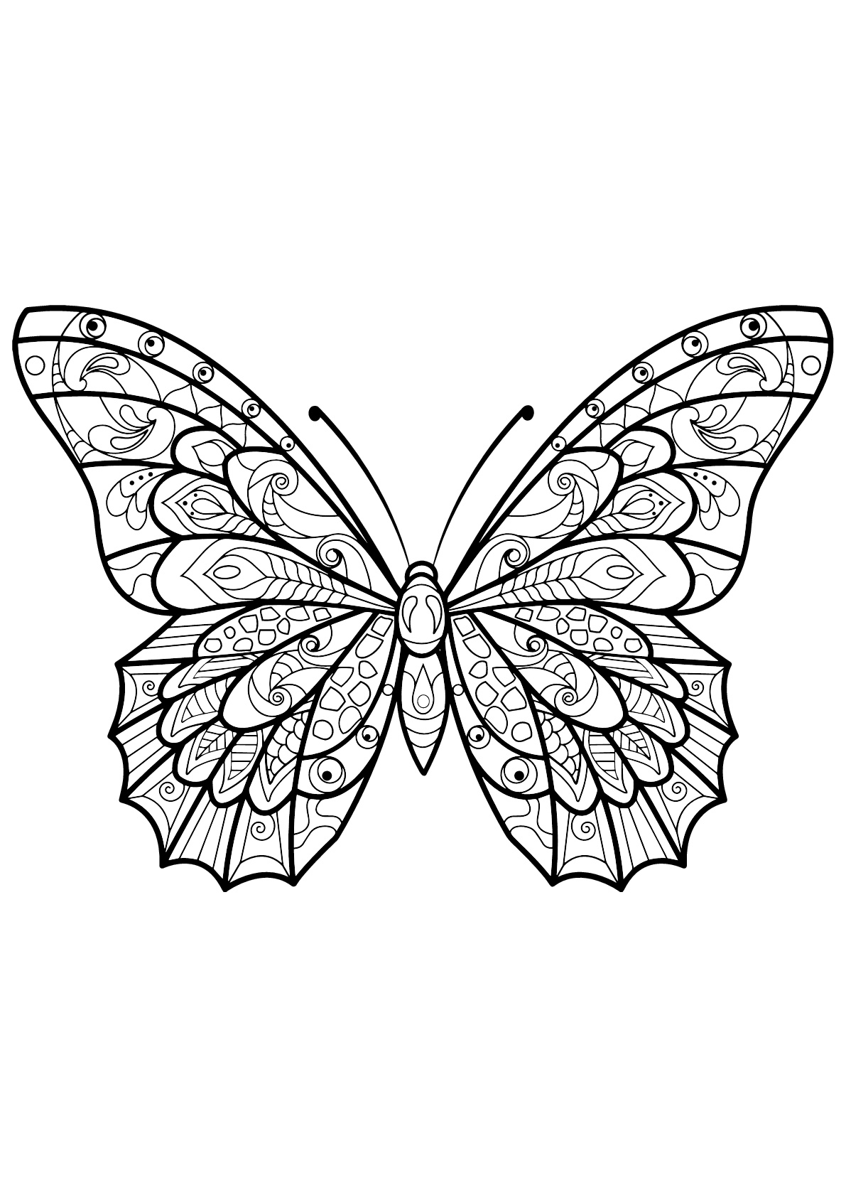 Butterfly beautiful patterns - 3 - Butterflies & insects Adult Coloring ...