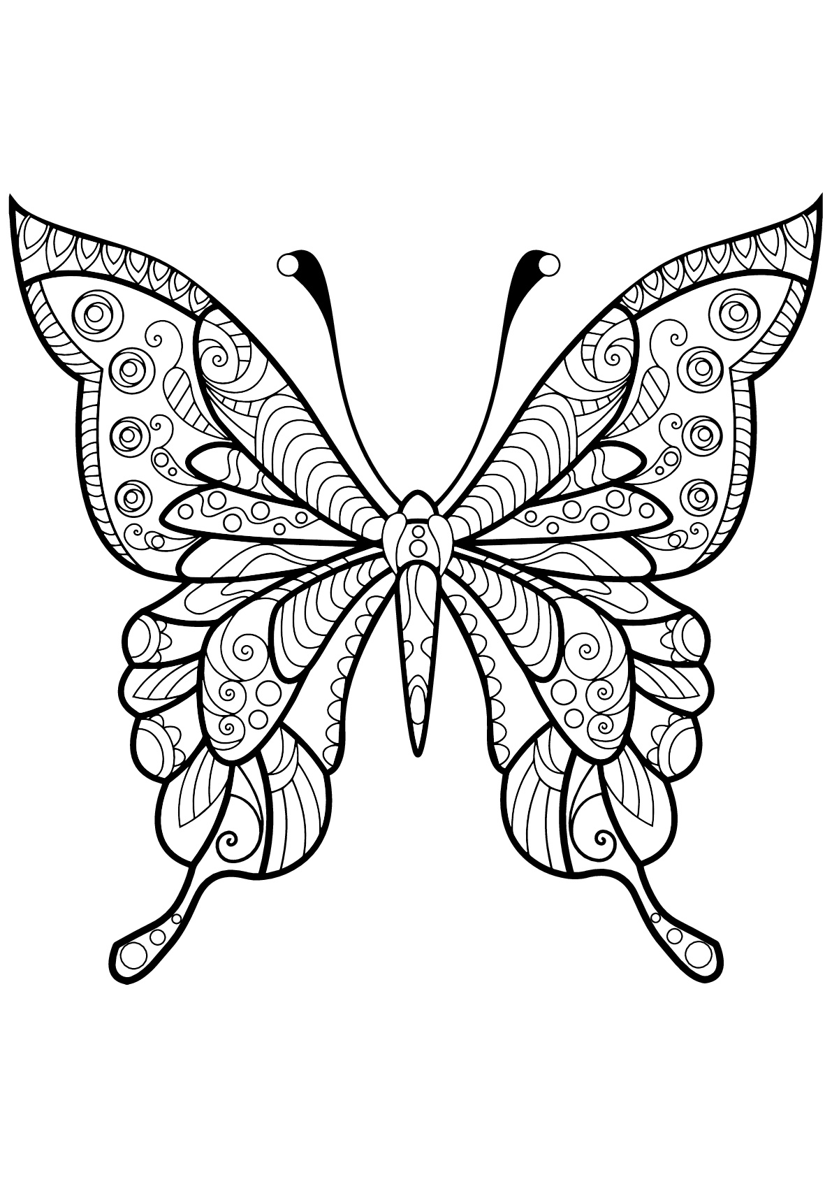 Butterfly beautiful patterns 4 - Butterflies &amp; insects Adult Coloring Pages