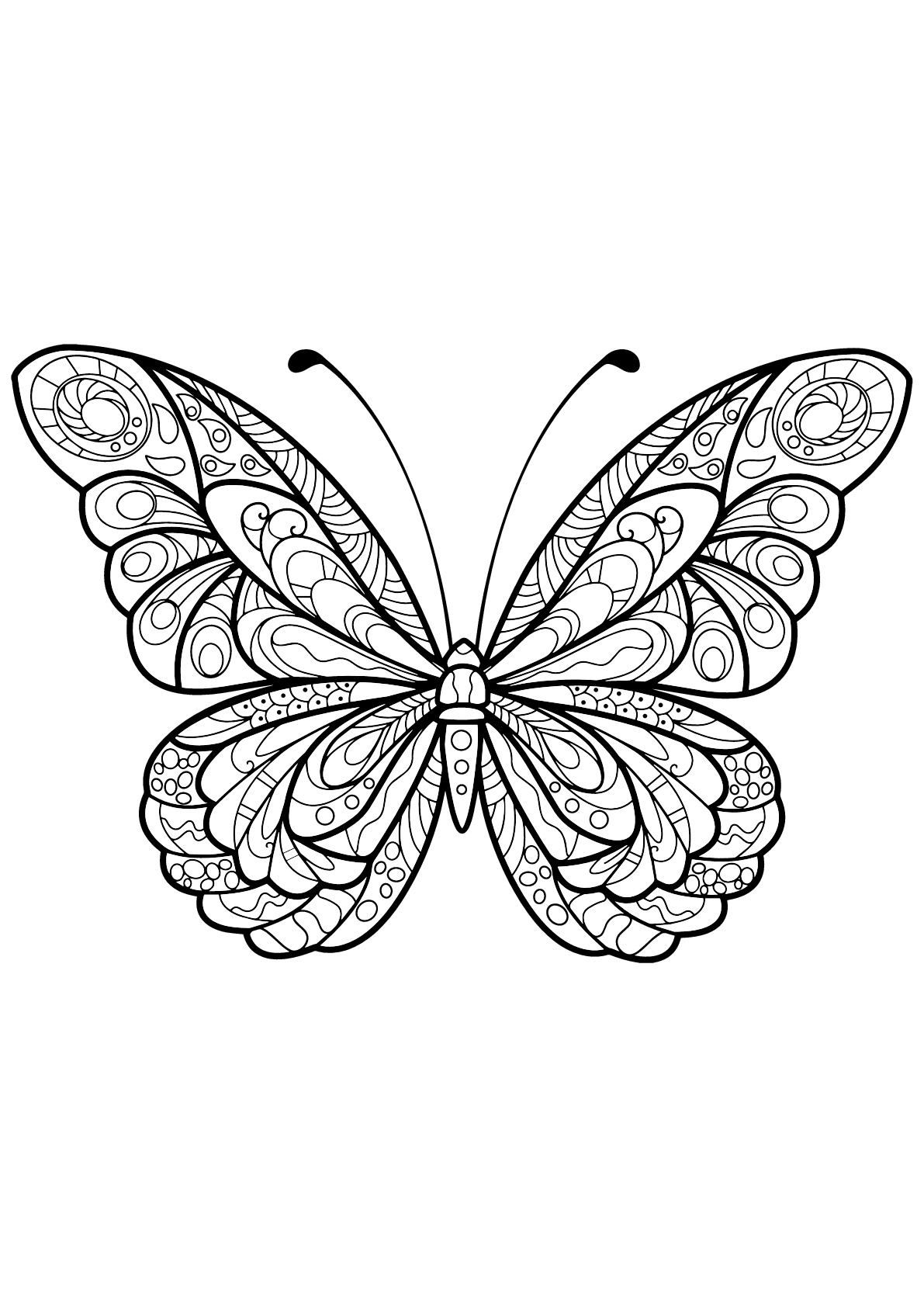 Download Butterfly beautiful patterns 5 - Butterflies & insects Adult Coloring Pages