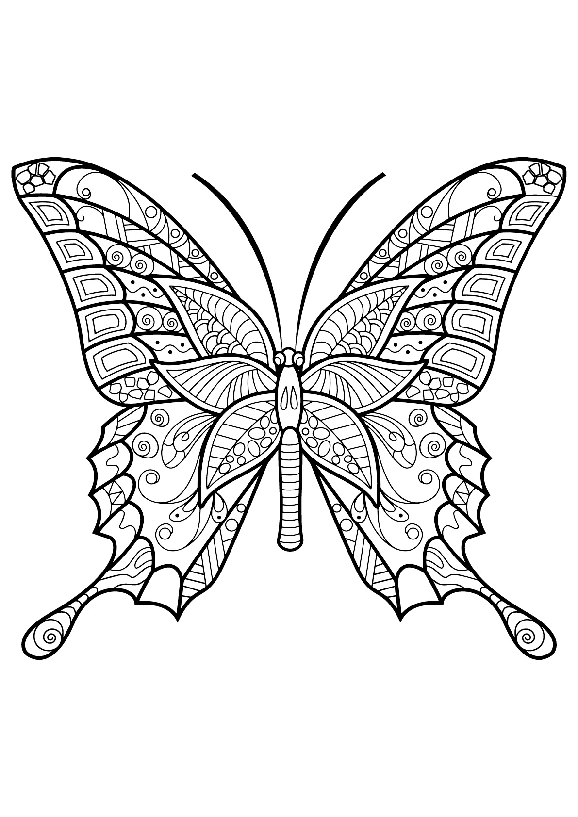 Butterfly beautiful patterns - 6 - Butterflies & insects Adult Coloring ...