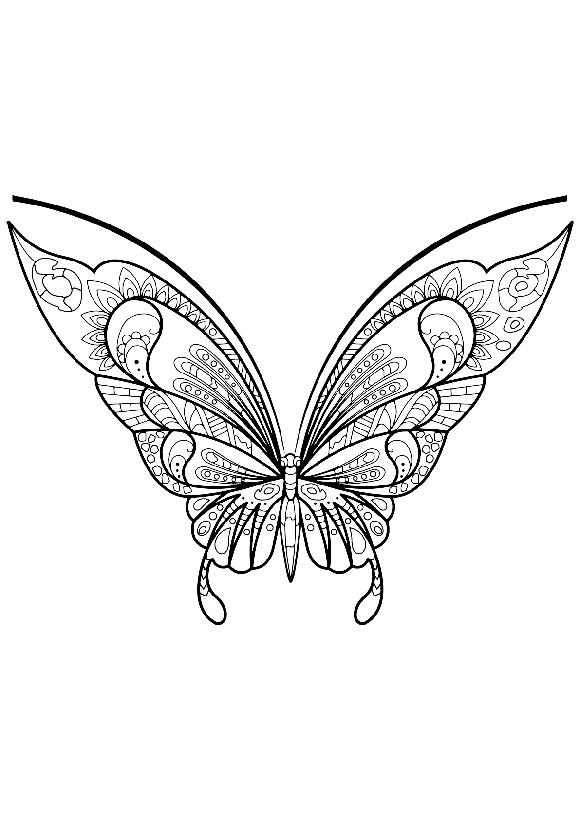 Download Butterfly beautiful patterns 7 - Butterflies & insects Adult Coloring Pages