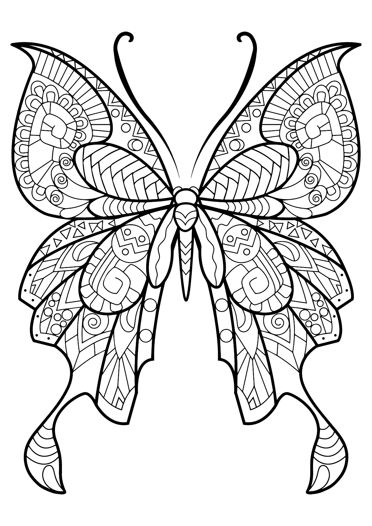 Butterfly beautiful patterns - 8 - Butterflies & insects Adult Coloring