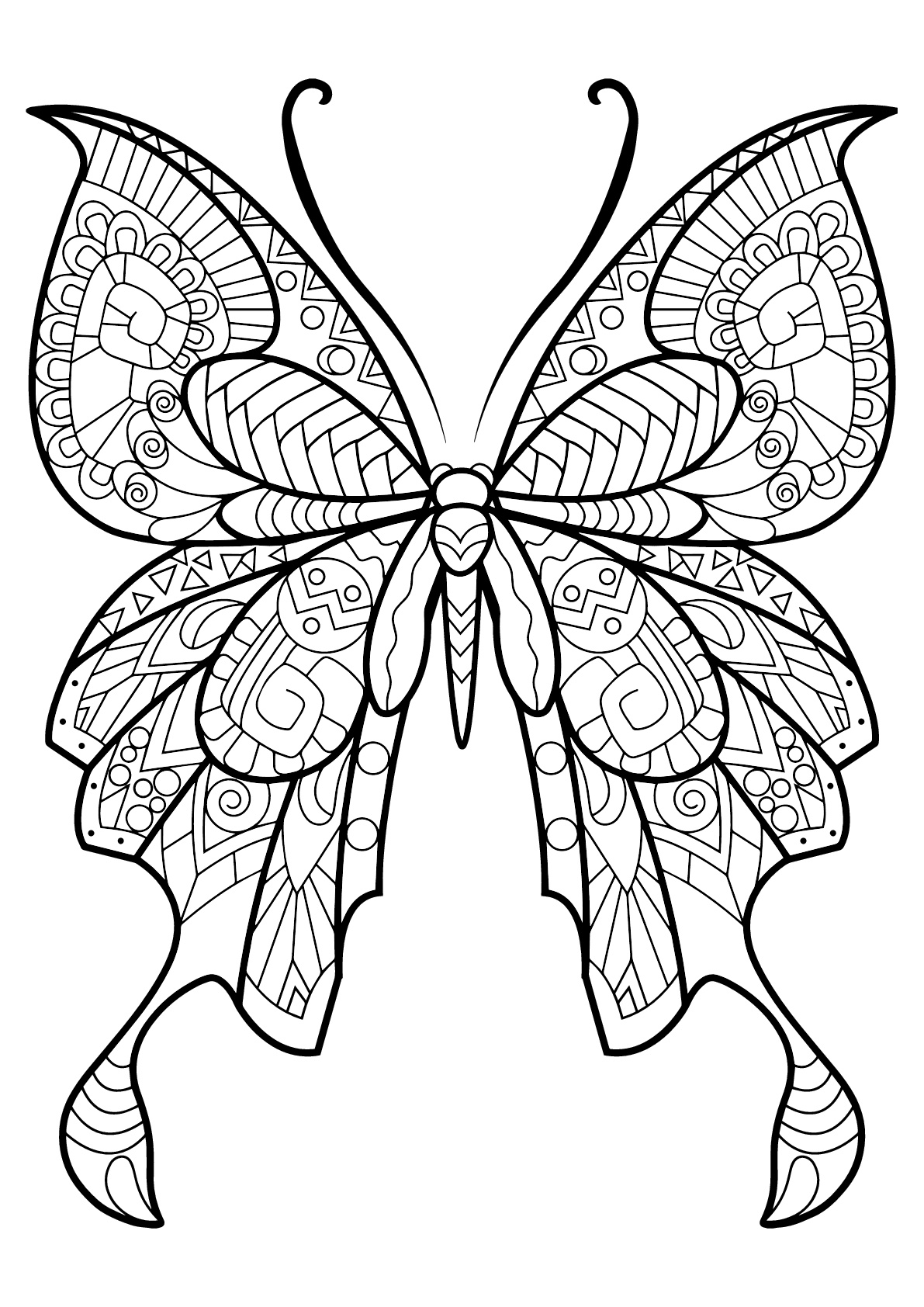 Butterfly Beautiful Patterns 8 Butterflies Insects Coloring Pages For Adults