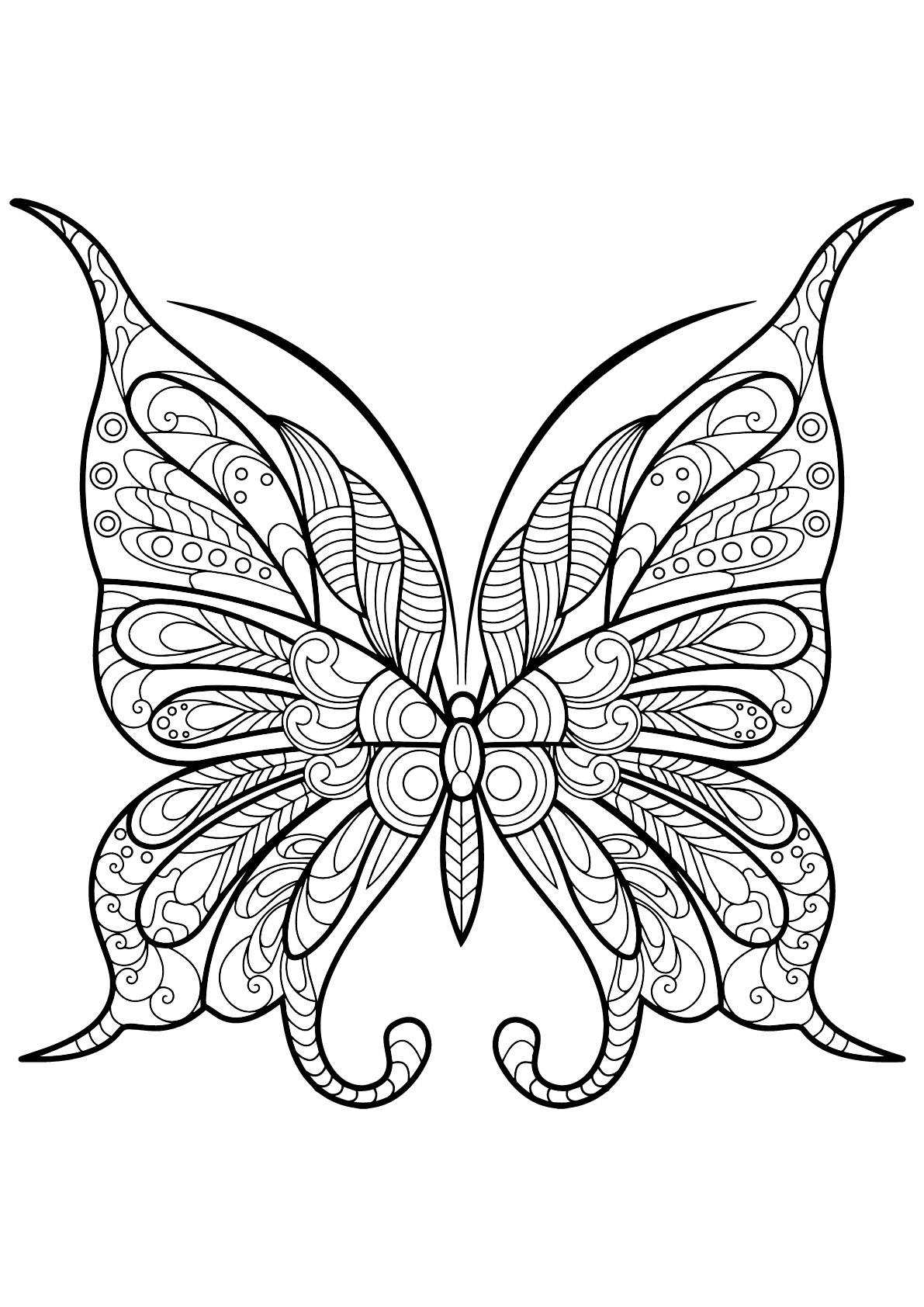 Butterfly beautiful patterns - 9 - Butterflies & insects Adult Coloring ...