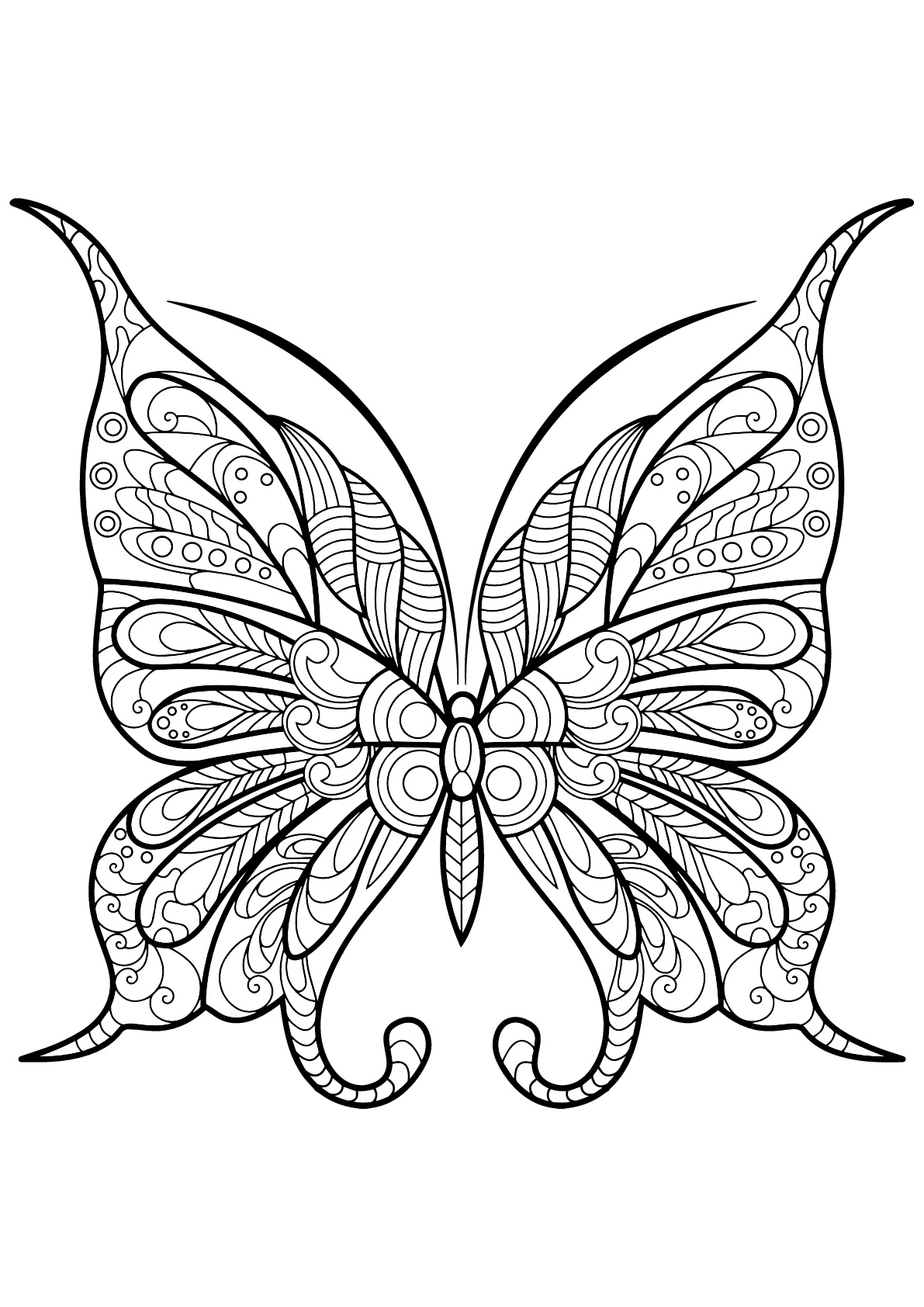 Butterfly Beautiful Patterns 9 Butterflies Insects Adult Coloring 