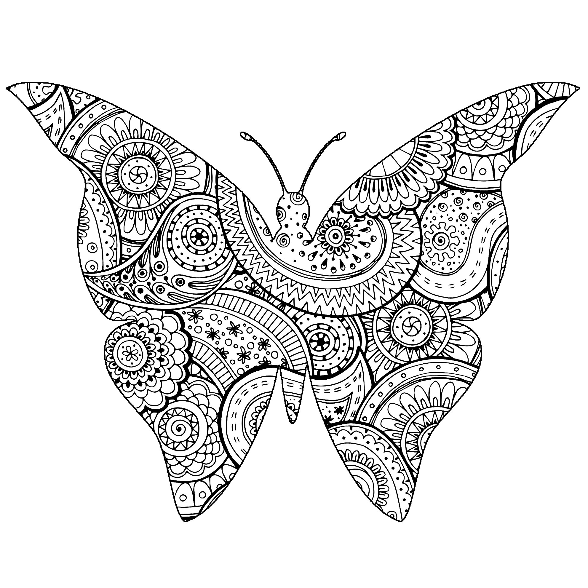 Beautiful butterfly shape with Zentangle and paisley patterns, Artist : Art. Isabelle