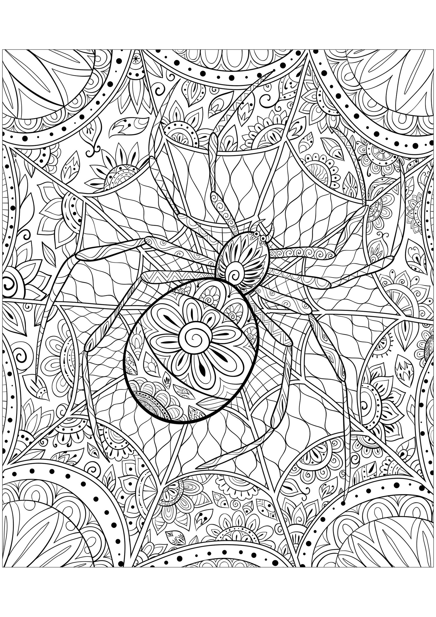 Complex coloring page of a spider - Butterflies & insects Adult ...
