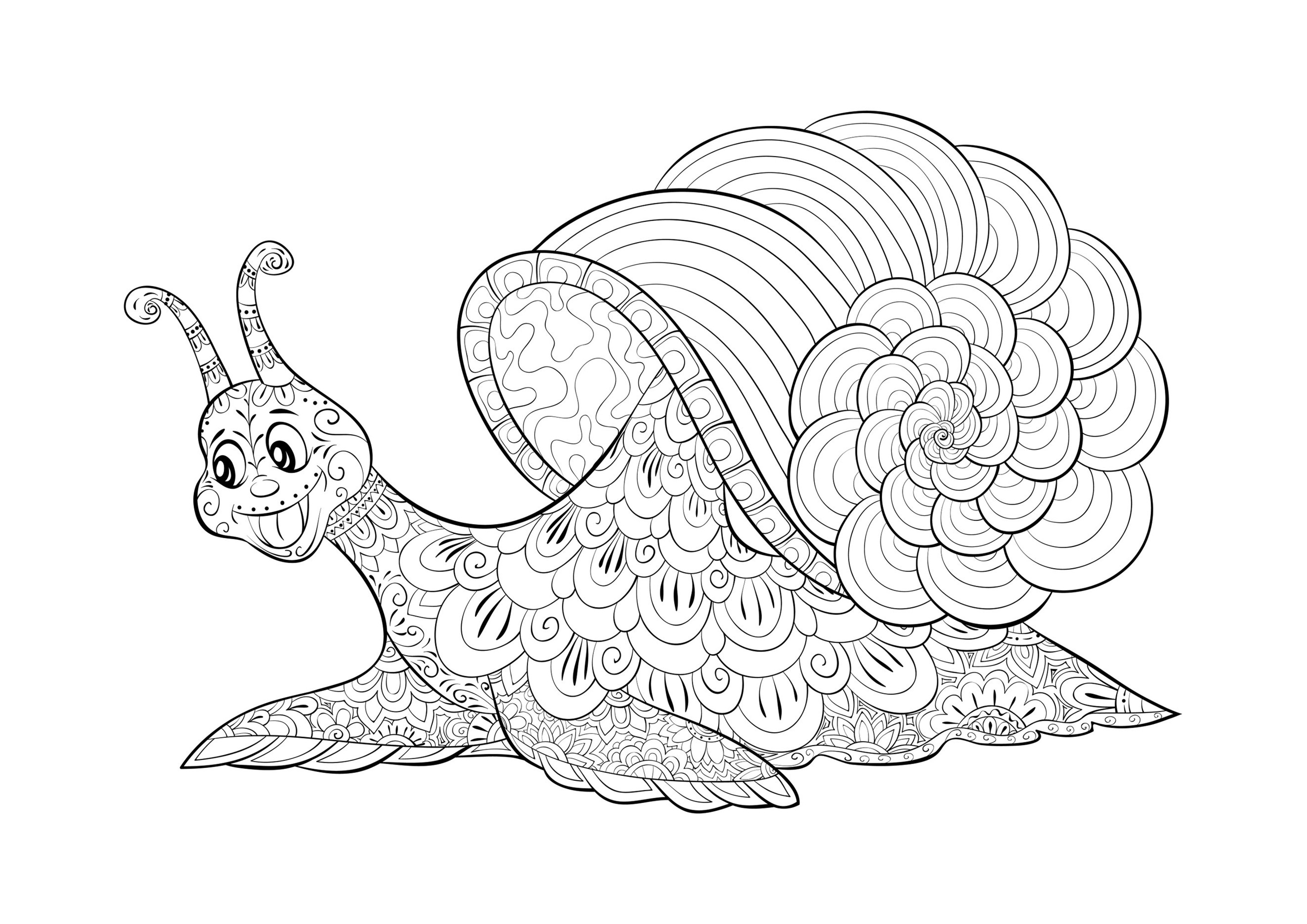 Smiling snail, Source : 123rf   Artist : Nonuzza