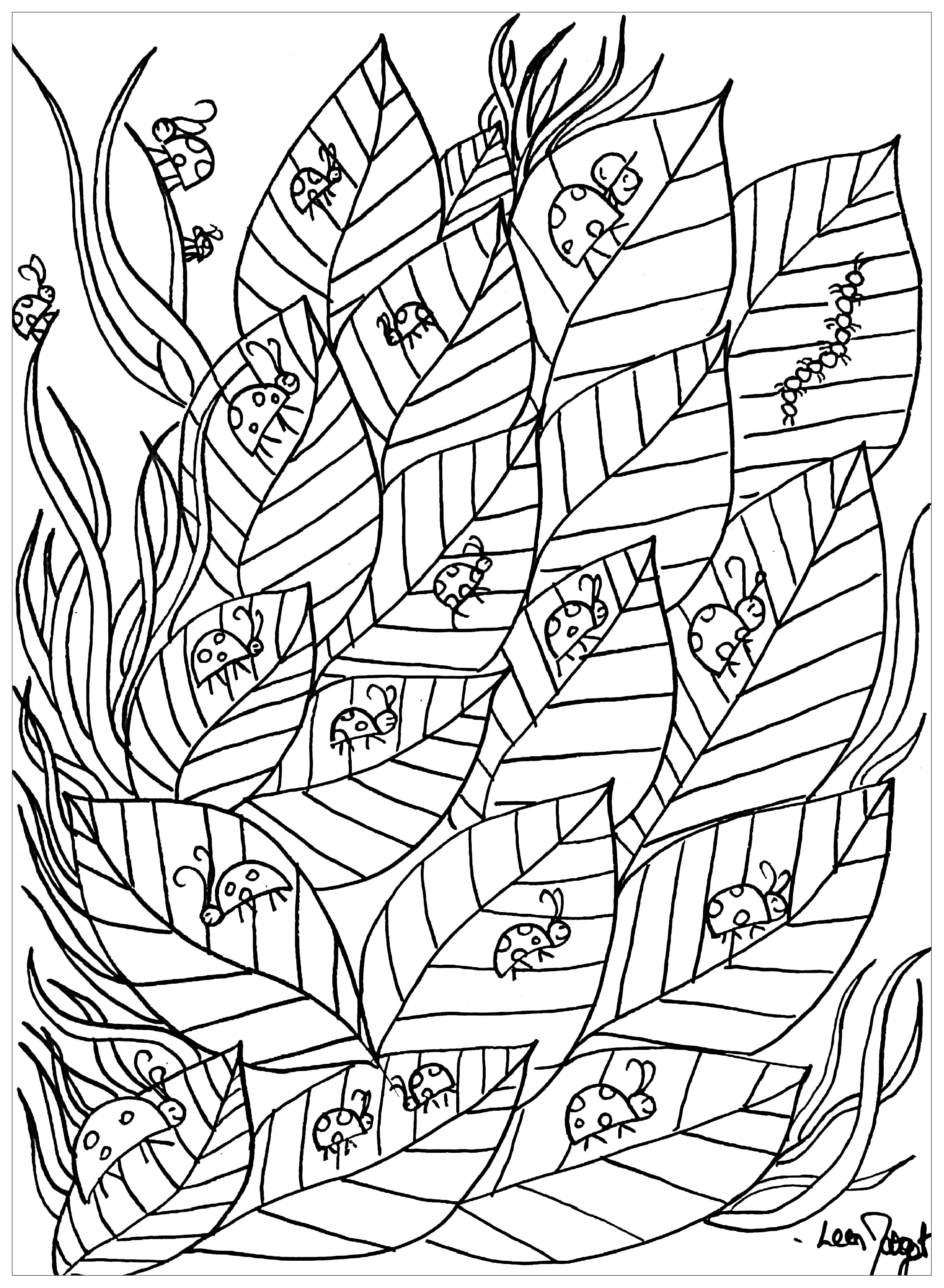 Download Ladybugs on leaves - Butterflies & insects Adult Coloring Pages