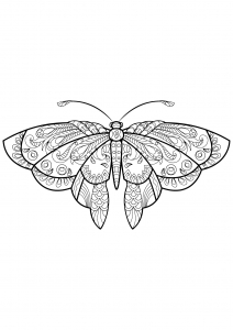 Coloring butterfly beautiful patterns 1