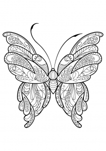 Coloring butterfly beautiful patterns 16