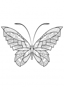 Coloring butterfly beautiful patterns 17