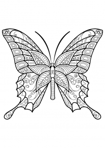 Coloring butterfly beautiful patterns 6