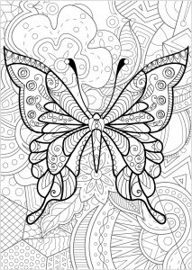 Butterfly with flowered background   4