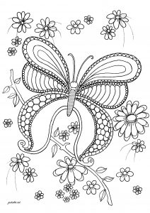 Coloring elegant butterfly