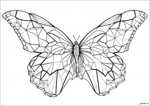 Coloring geometric butterfly