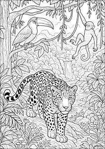 Tropical Predation
