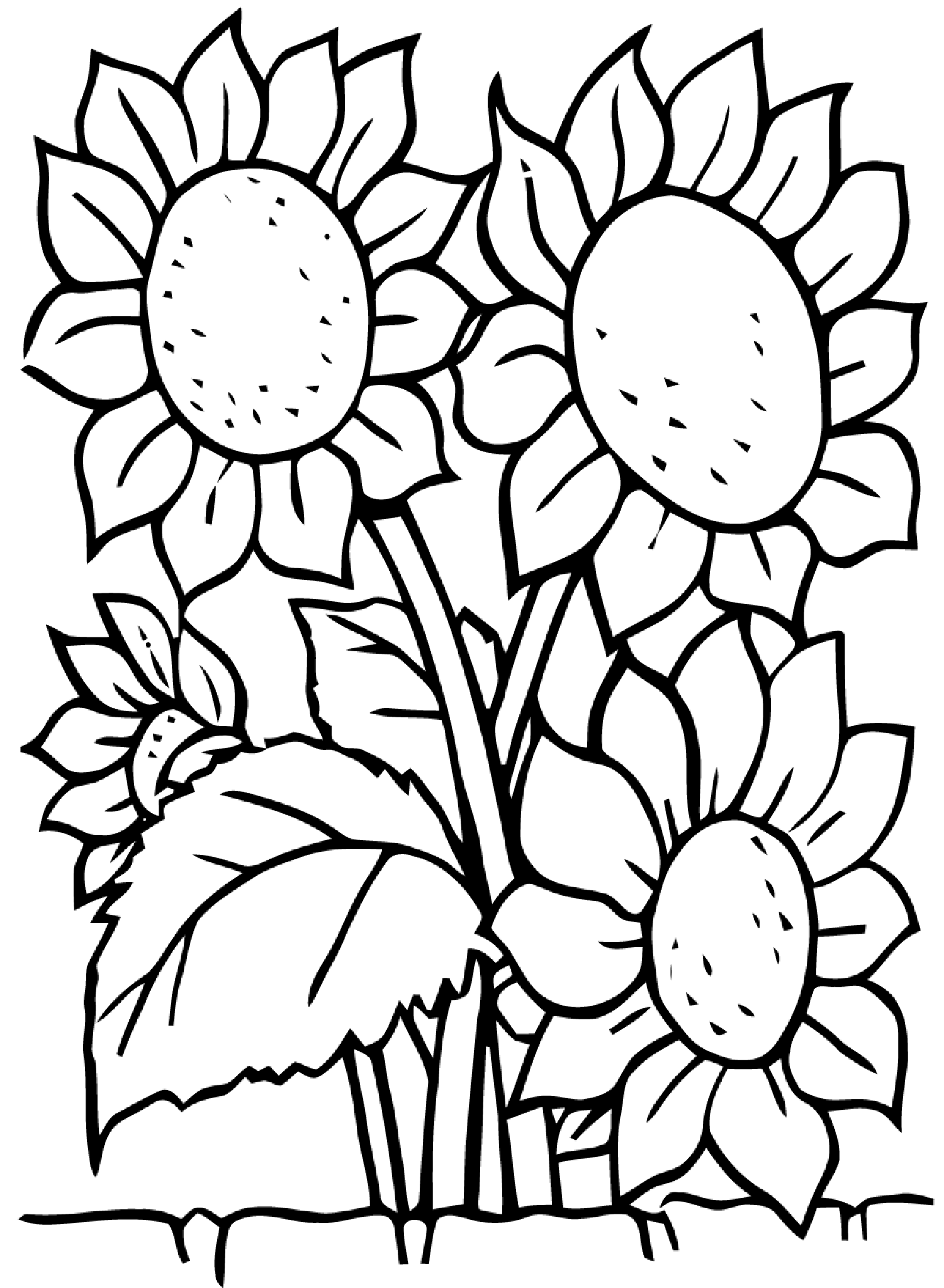 Sunflowers - Flowers Coloring pages for kids to print & color