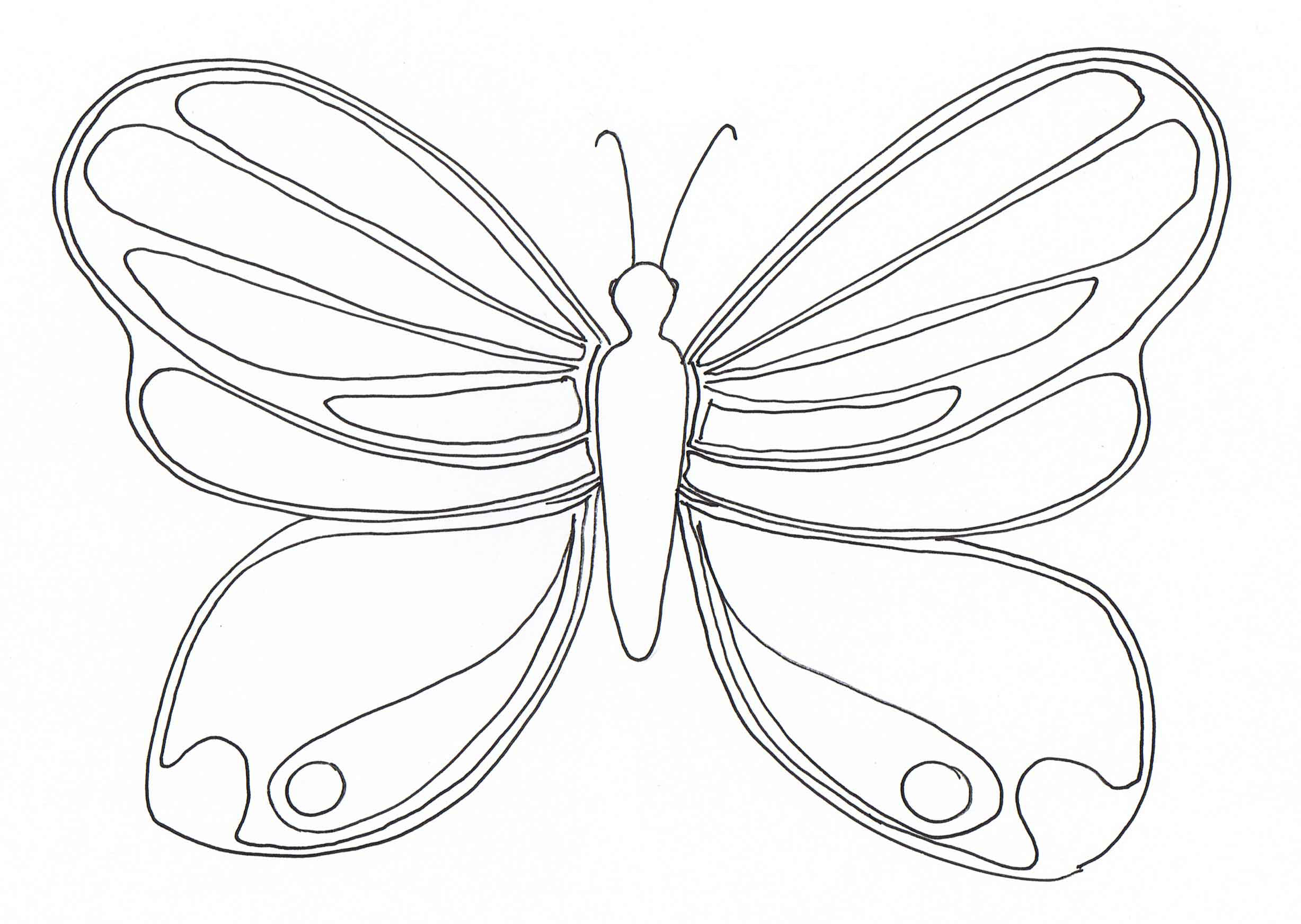 Simple butterfly coloring pages - guluac