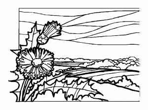 Coloring landscapes to color 1 1