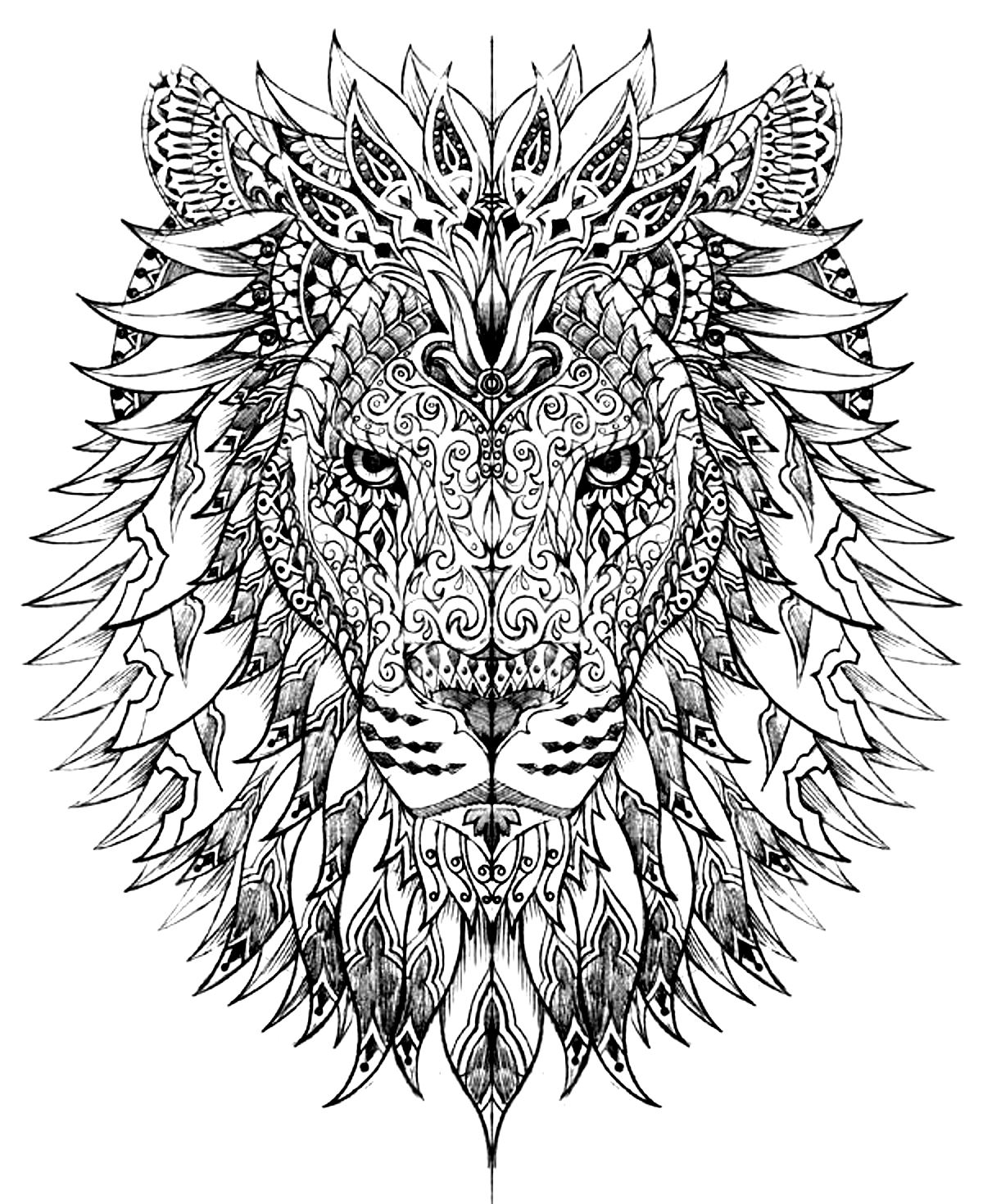 Download Lion head - Lions Adult Coloring Pages