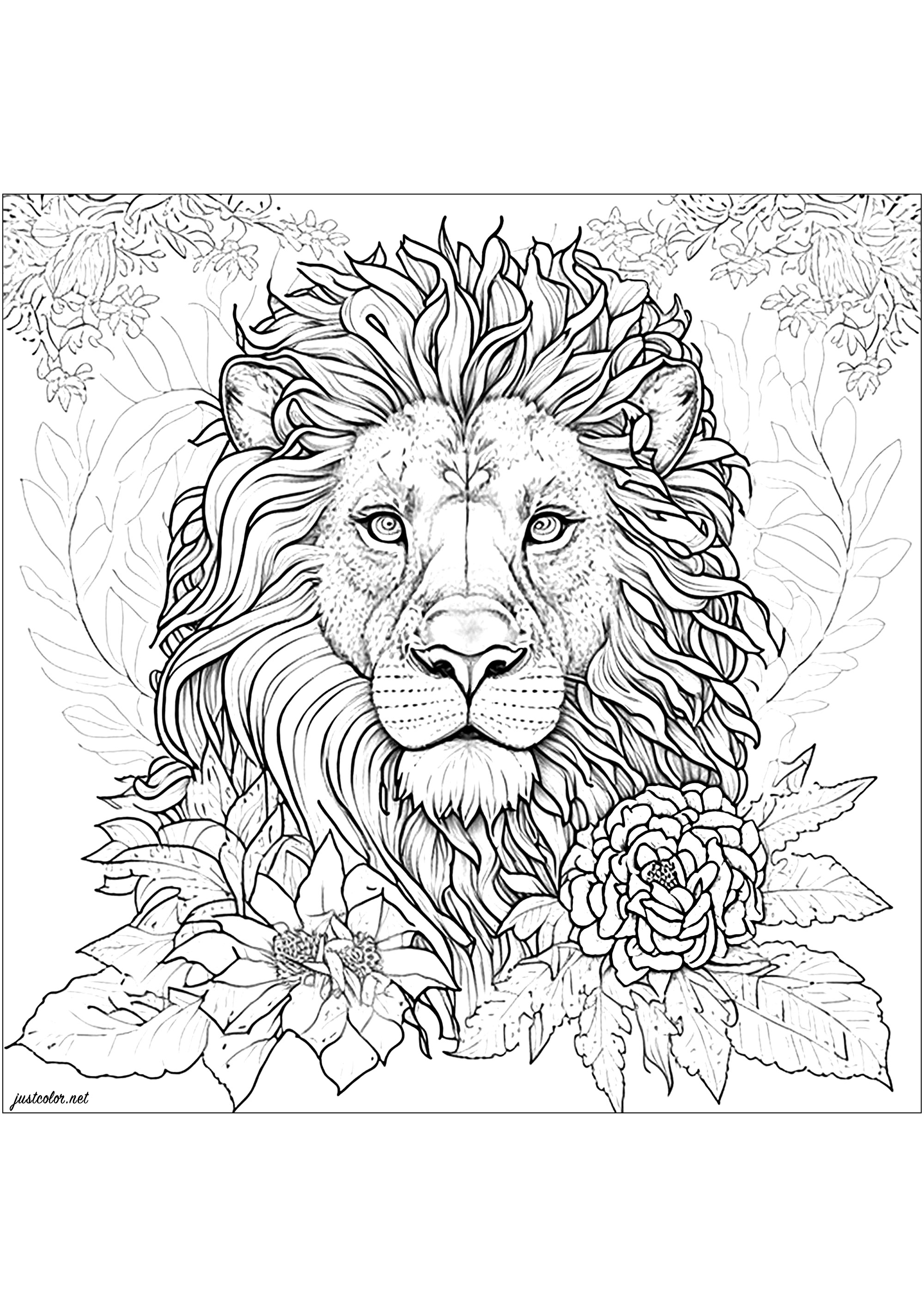 Lion Head in Color Drawing by Greg Joens - Pixels Merch