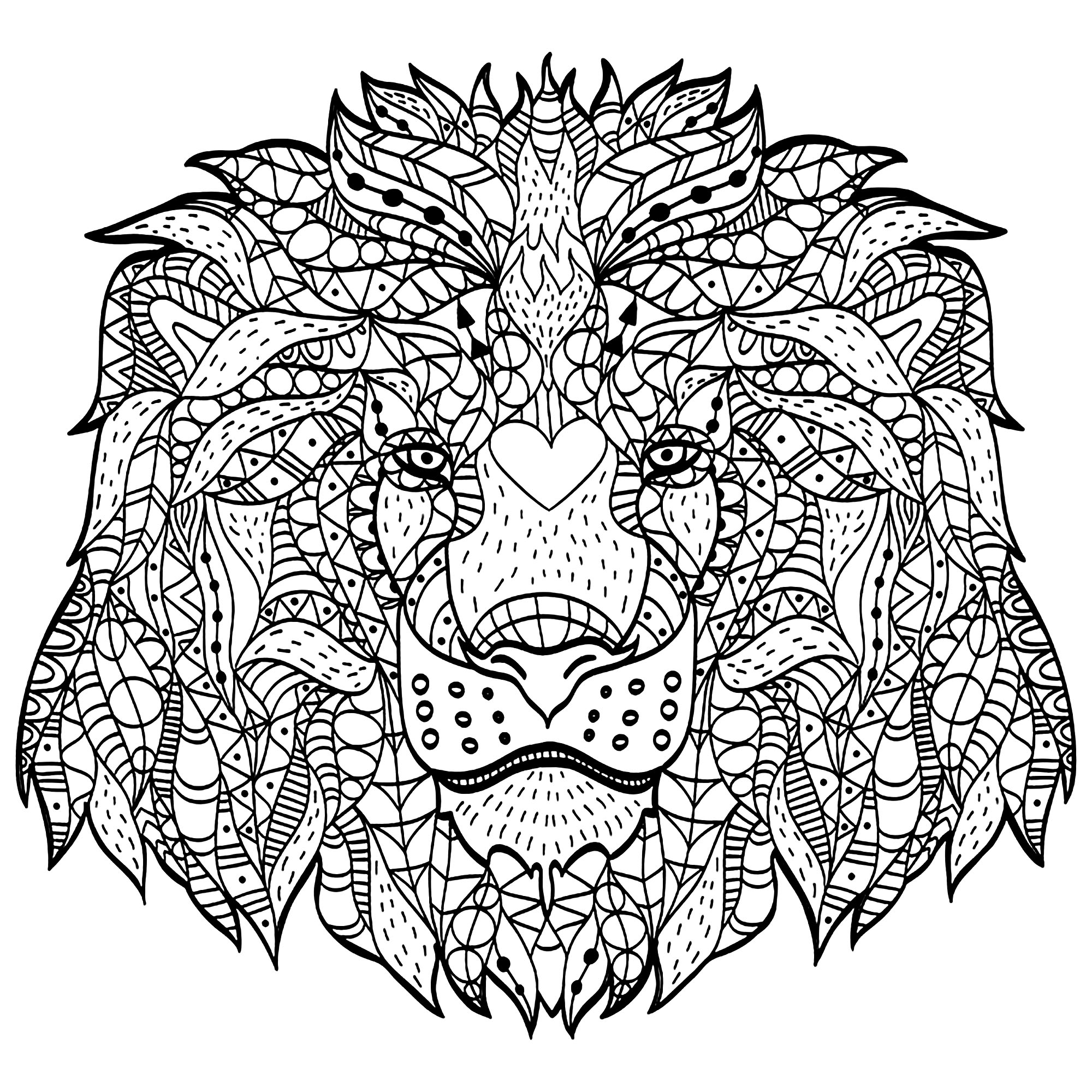 Download Majestic lion - Lions Adult Coloring Pages